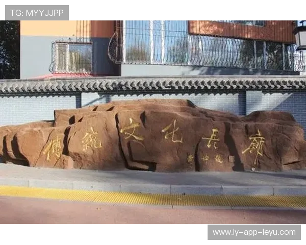 _传统体育文化长廊：精彩展现民族体育魅力_，体育 传统文化