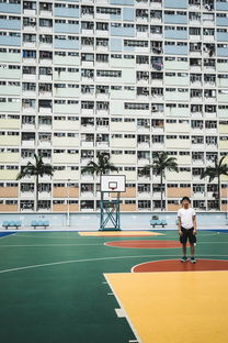 APP下载 LY Sports-中国篮球联赛裁判员执法技术培训体系建设与完善，全国篮球裁判员资格证书