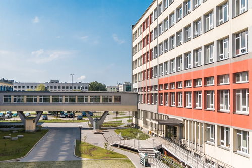 LeyuSports-中国篮球联赛裁判员技术培训体系建设，篮球裁判员培训班