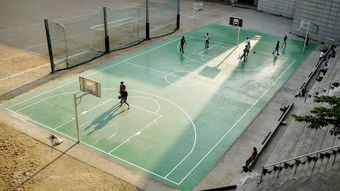 Leyu Sports (乐鱼体育)-中国篮球联赛观众体验提升策略及应用研究，篮球观众席图片