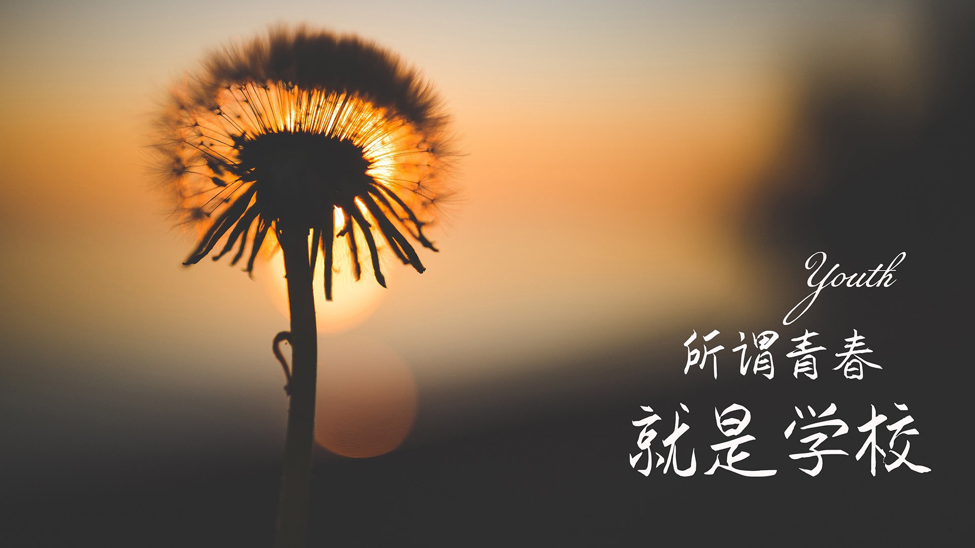 Leyu Sports (乐鱼体育)-国际射箭大奖赛中国女队力挽狂澜，中国射箭女神冠军