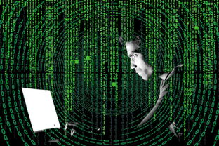 乐鱼体育APP官方下载-2024年印度队表现：从挑战者到强者的完美转变，印度2020年4月