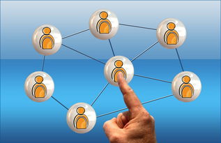 乐鱼电竞在线平台-体育新闻中心联合高校开展体育传媒创新创业大赛，体育产业创新创业大赛