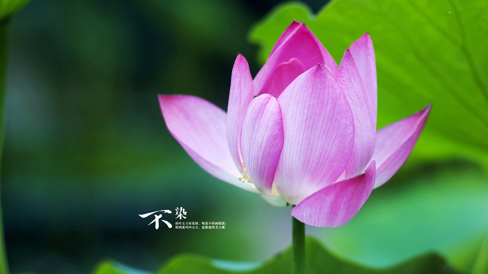 乐鱼电竞· (中国)官方网站-后卫突破后是否应优先寻找外线射手，突破后卫适合什么鞋