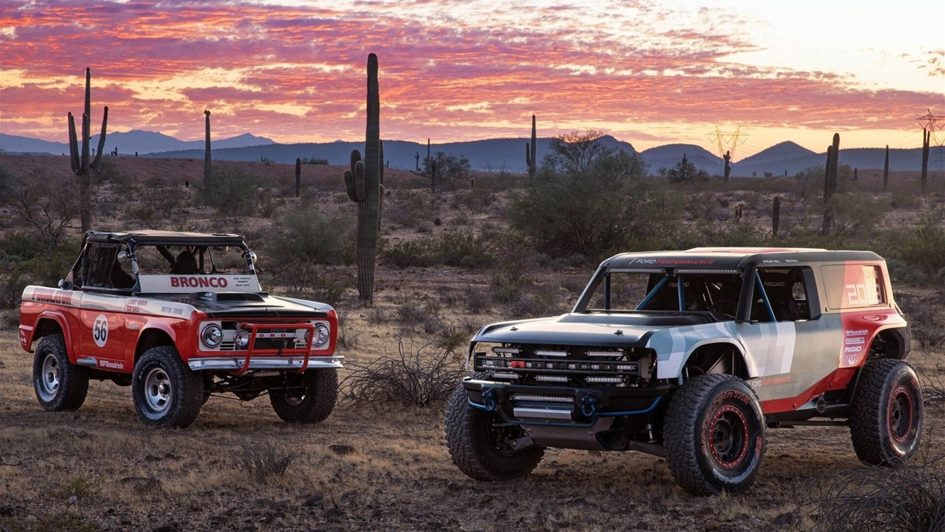 乐鱼电竞在线平台-女子蝶泳划频节奏变化曲线对比图，女子蝶泳100