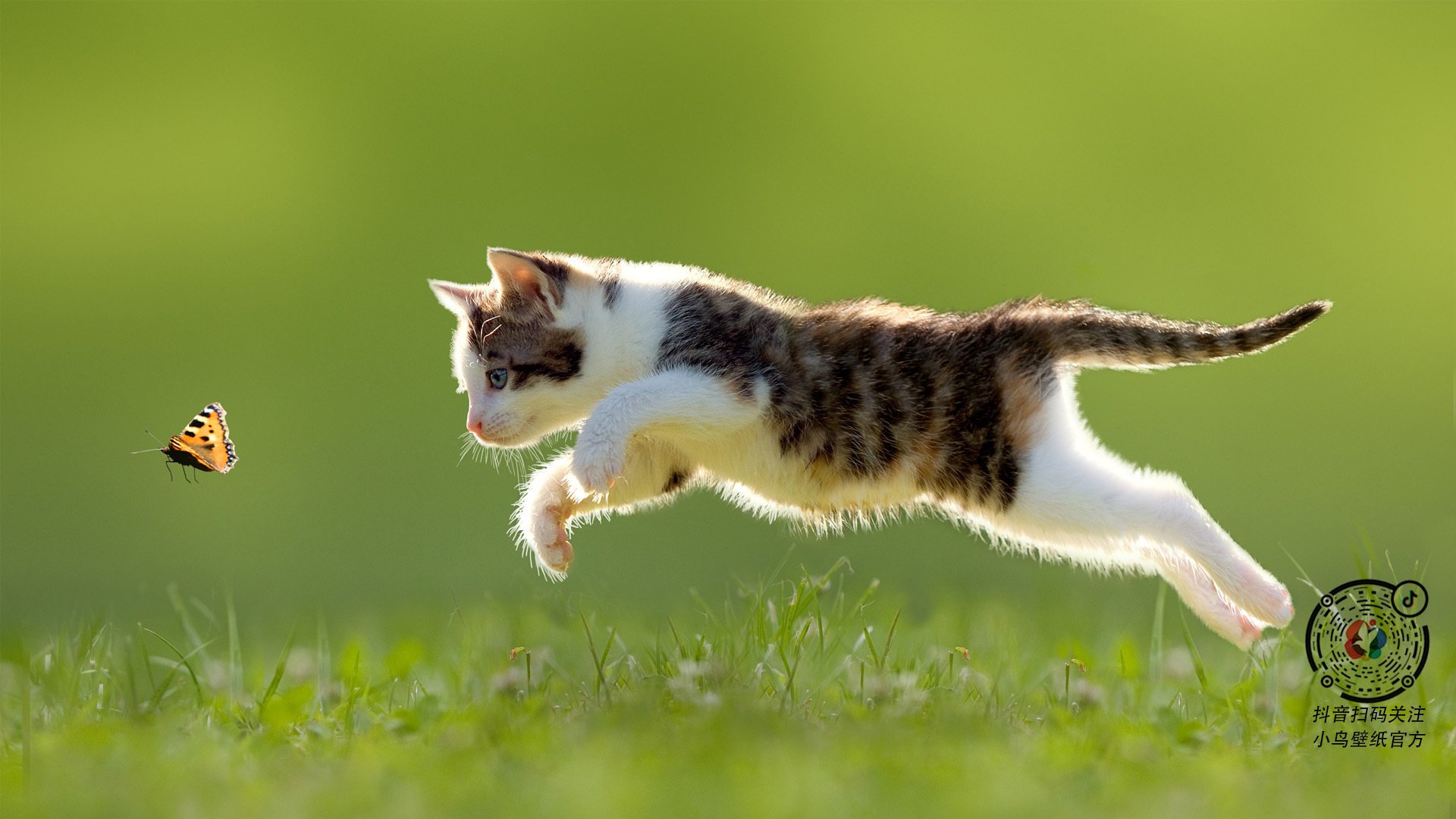 乐鱼（中国）体育官方网站-波兰队赛场表现分析：如何应对强敌，在国际乒联混合团体世界杯中取得好成绩