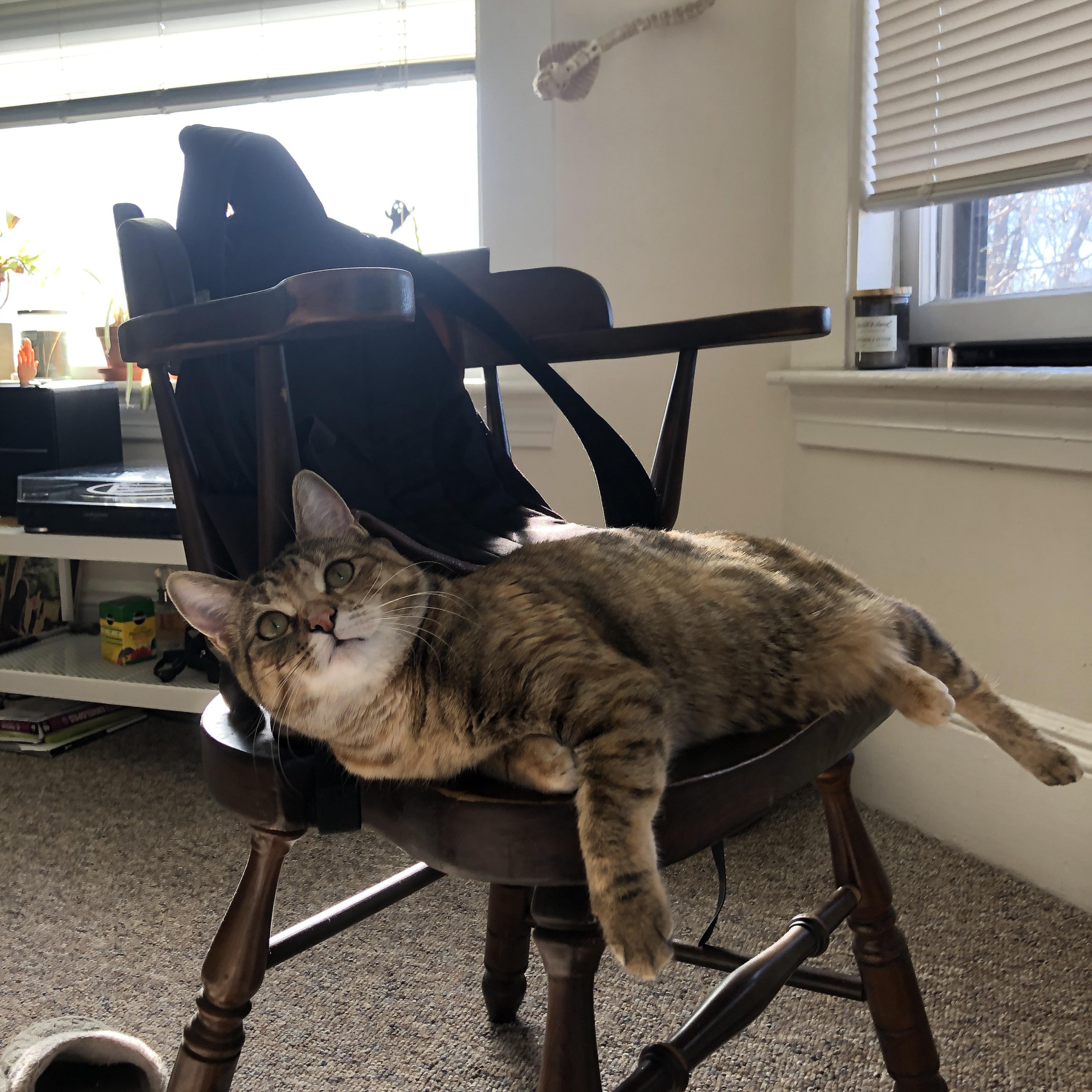 LEYU SPORTS中国官方网站-热刺边锋单兵突破成为比赛亮点，热刺边锋单兵突破成为比赛亮点了吗