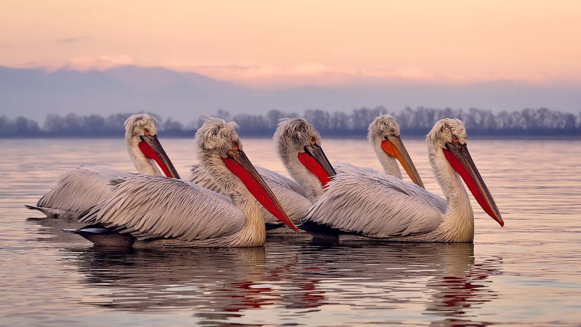 Leyu Sport登录入口-世界杯爆点不断：精彩瞬间一次次刷屏！，世界杯爆冷夺冠