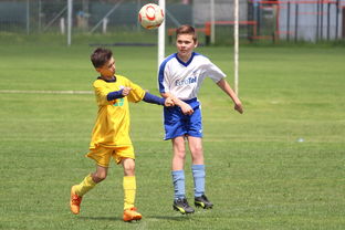 LeyuSports-塞尔维亚男篮在欧洲预赛中奋勇前进，冲击奥运荣耀，塞尔维亚男子足球队欧洲杯