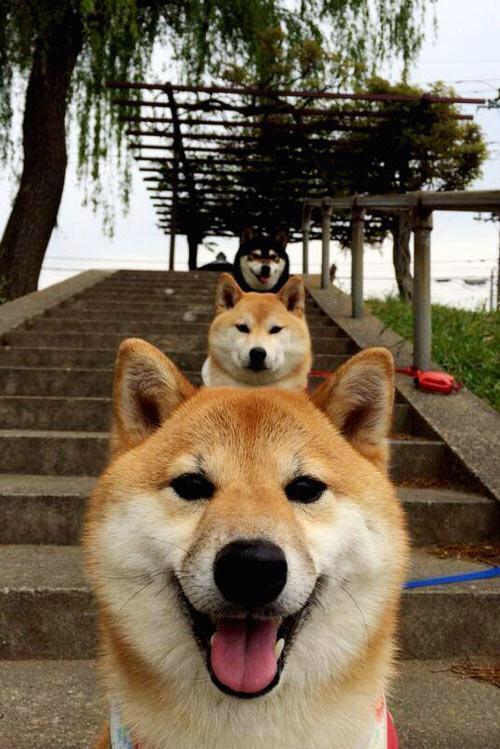 乐鱼体育平台app下载-意甲攻防对决：精彩瞬间层出不穷，意甲对抗强度