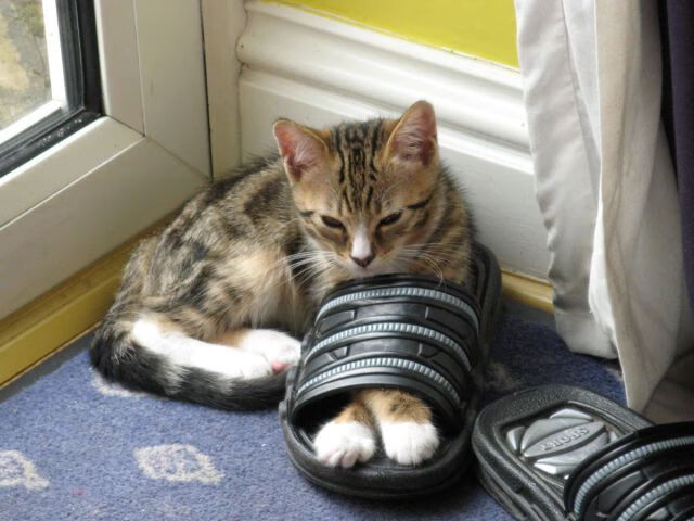 乐鱼电竞在线平台-拉文三分连续命中公牛打出得分高潮,nba_拉文34分 公牛击败活塞