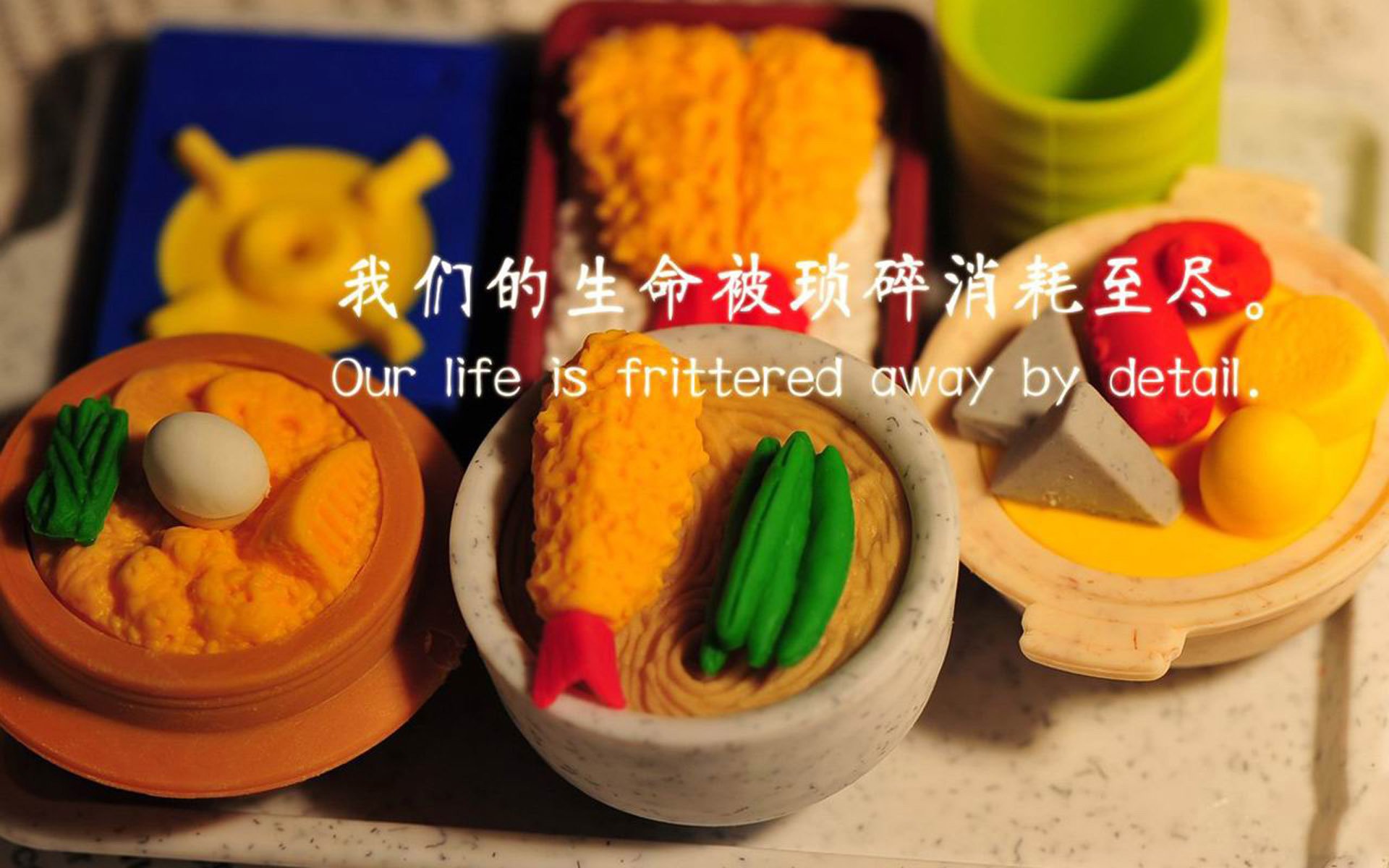 leyu.com-森林狼新教练上任首训引发媒体围观，森林狼教练下课