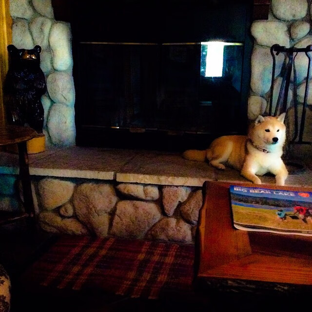 leyu乐鱼-英超最后冲刺：冠军悬念逐渐揭晓！，英超最后一名能拿多少转播钱