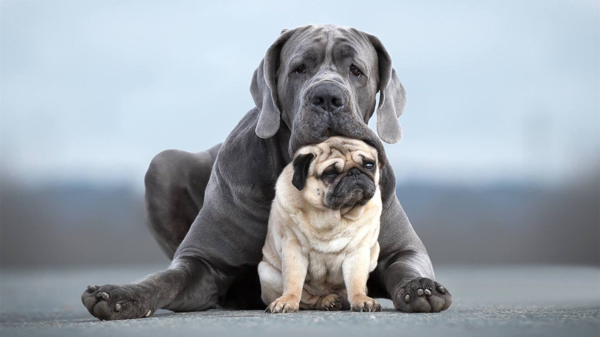 乐鱼（中国）体育官方网站-达里尔·基：凭借超凡的防守和极强的爆发力，他成为全黑队的后防保障