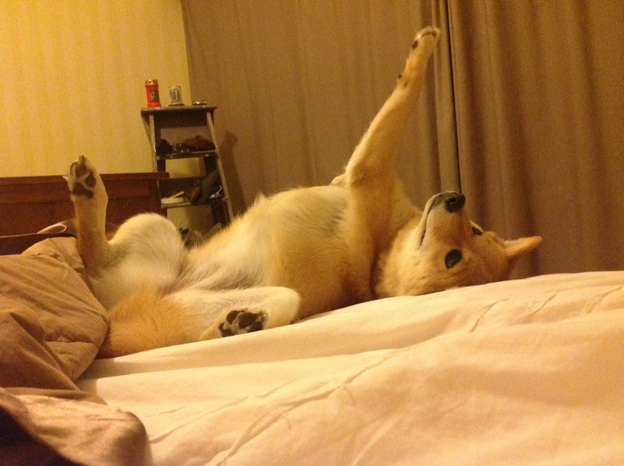 乐鱼体育APP官方下载-青少年入门足球装备全面升级，安全性提升，青少年足球鞋怎么选择