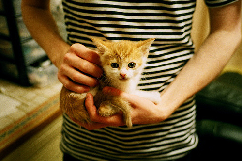 乐鱼vip-6连跪困扰法兰克福，今晚对勒沃库森盼止颓势，法兰克福对勒沃库森视频直播