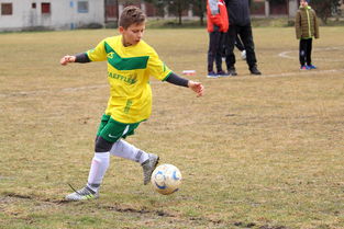 中国球迷文化正在发生什么变化，球迷文化什么意思